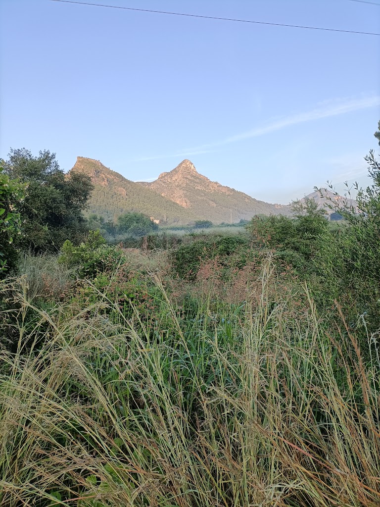 Sendero TARONJA
