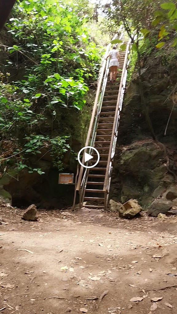Barranco Del Alamo, Teror — Videos