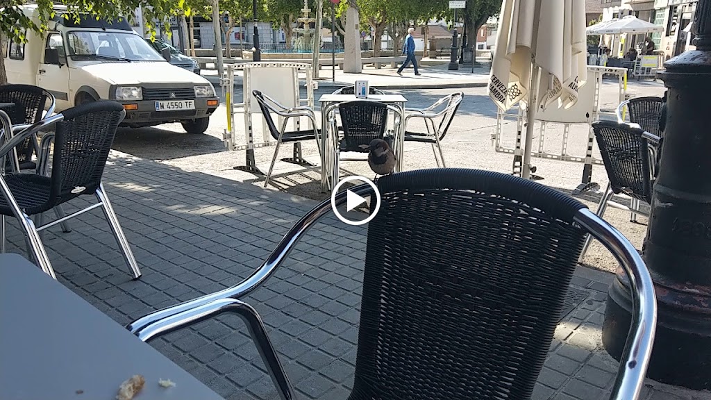 Bar Restaurante Las 4 estaciones — Videos