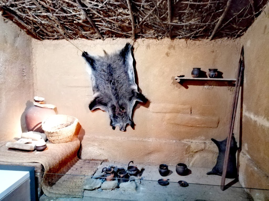 Museo La Vetonia Cultura y Naturaleza