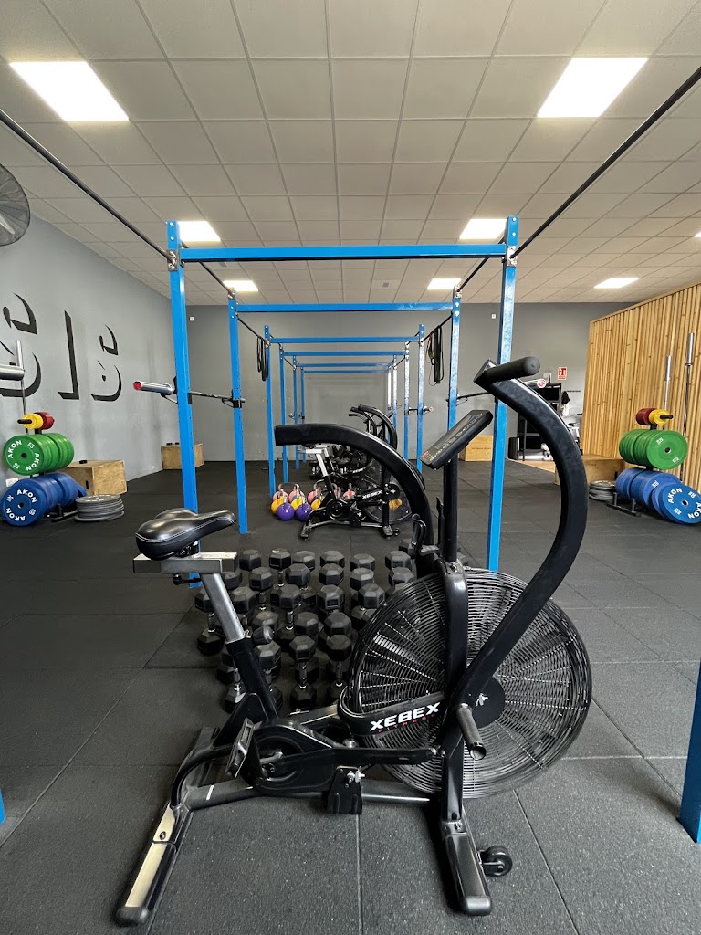 Dynesis Centro de Entrenamiento