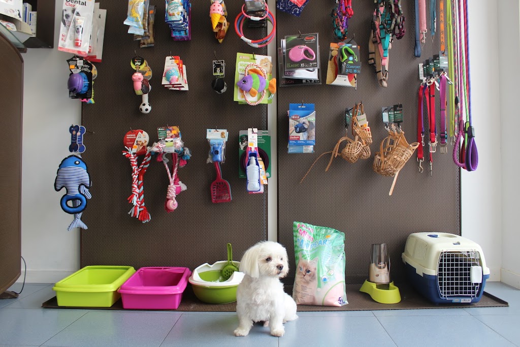 Veterinario Scooby Doo Illescas — Del propietario