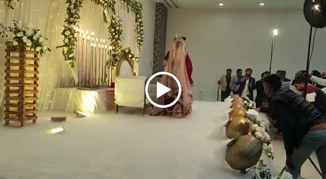 Videos
