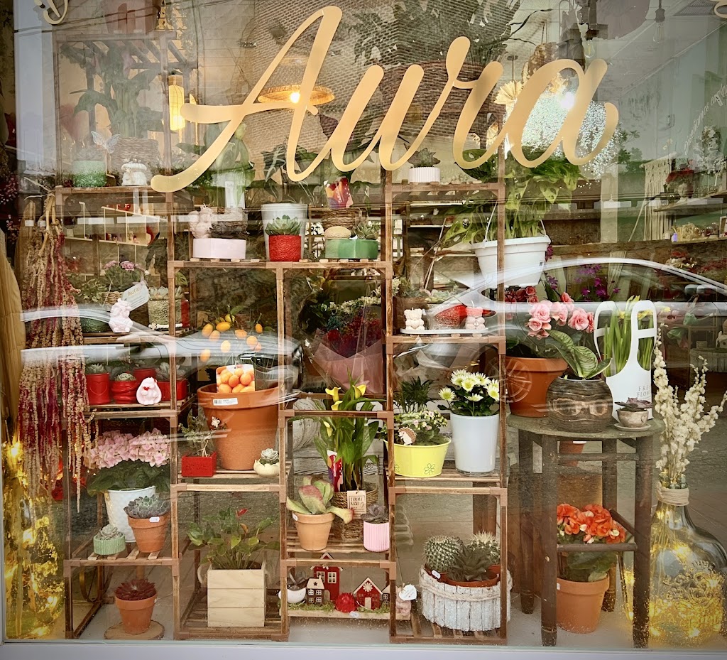 Aura creaciones — Todas
