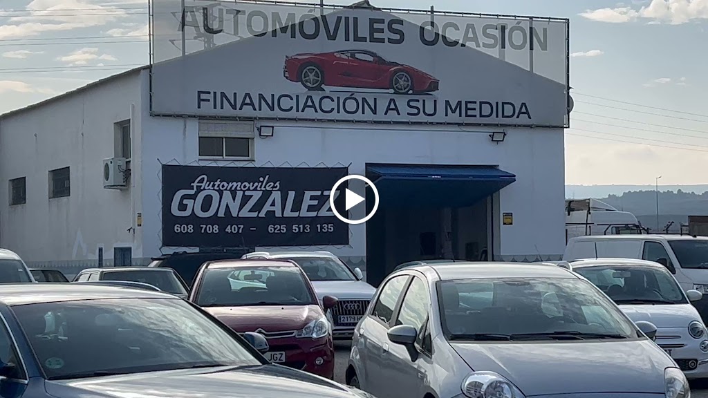 Automoviles Gonzalez X1