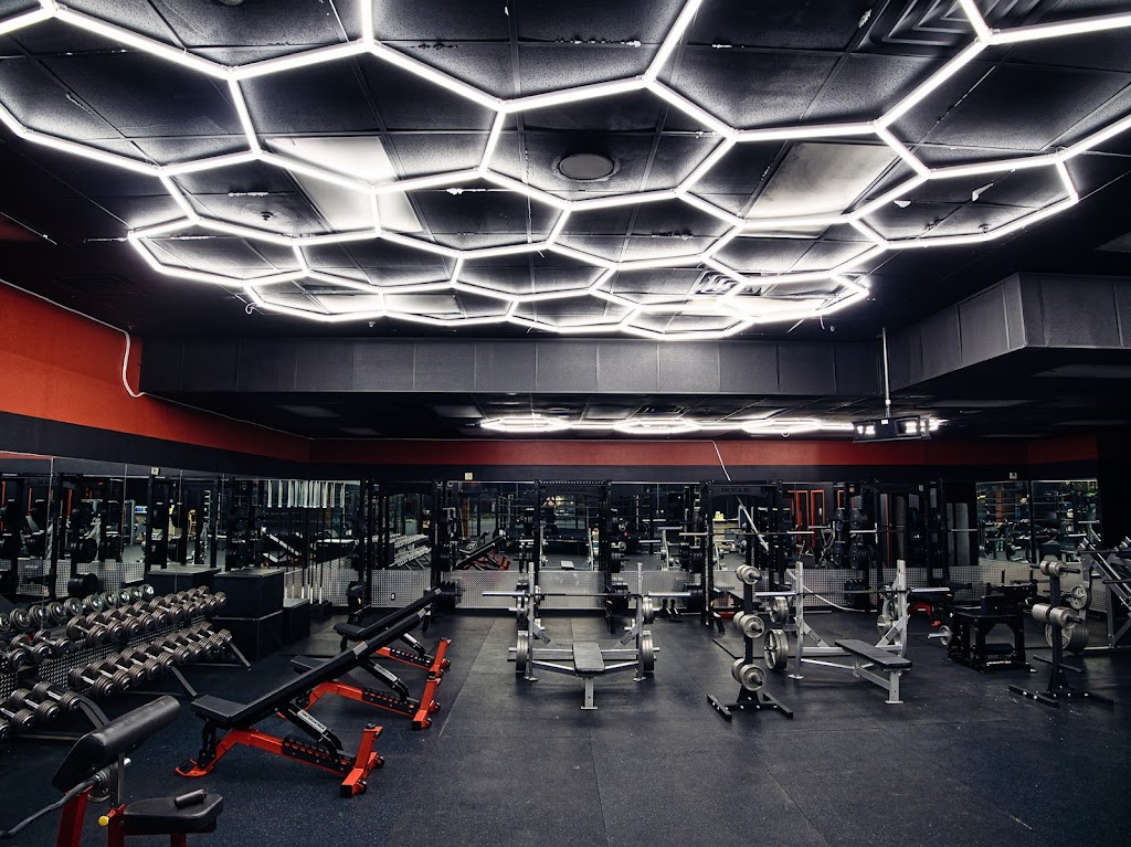  Kingdom Fitness & Boxing