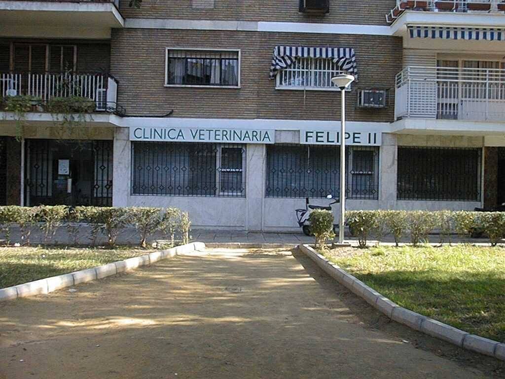 Antigua Clinica Felipe II (Ahora Garivet)