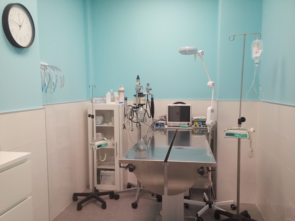 Clinica Veterinaria Santander
