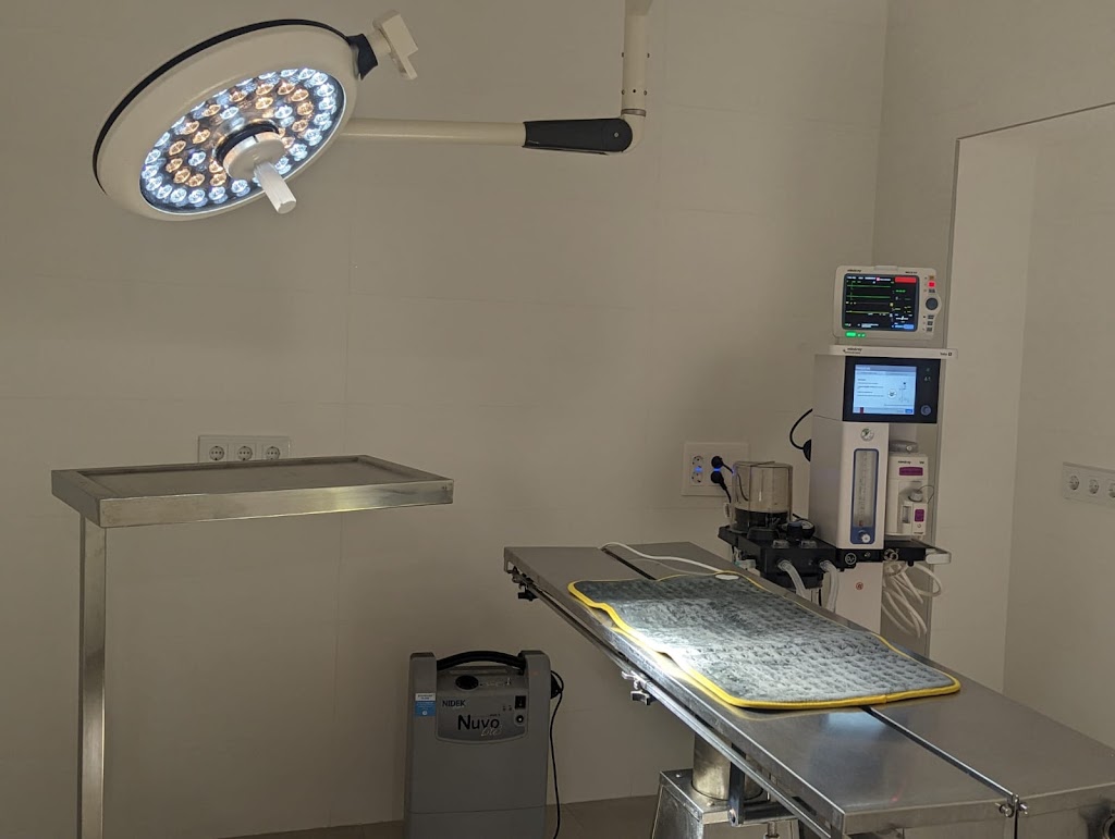 Clinica Veterinaria Athena Entrenucleos — Del propietario