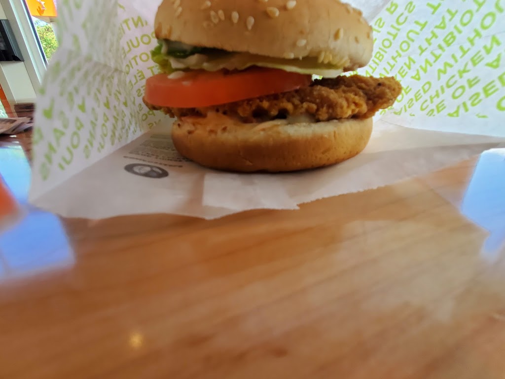 Chicken sandwich