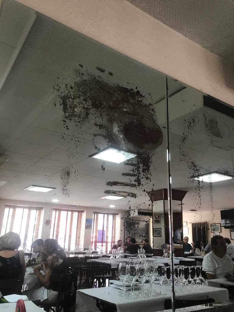 Restaurant Casa Asmundo — Ambiente