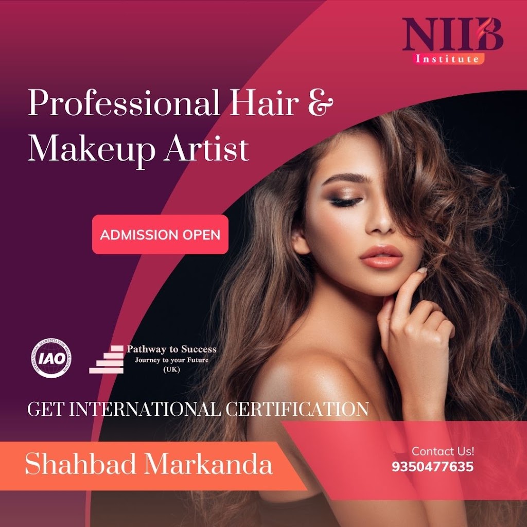 Niib Institute Shahbad Markanda