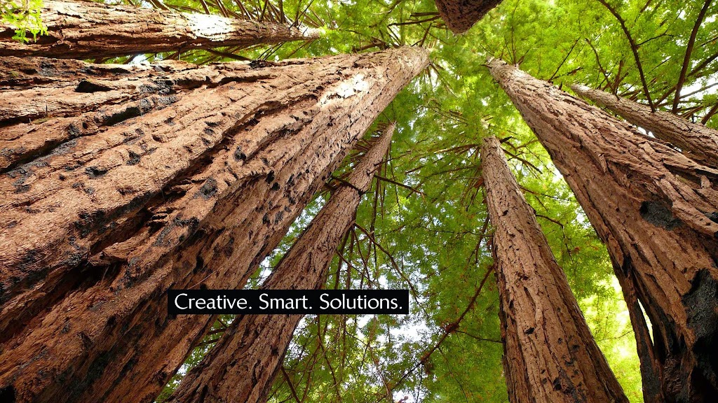Tree Top Web Design