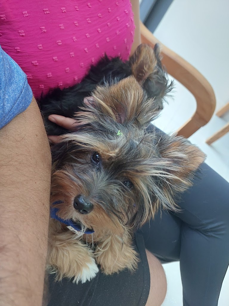 Foto da avaliação