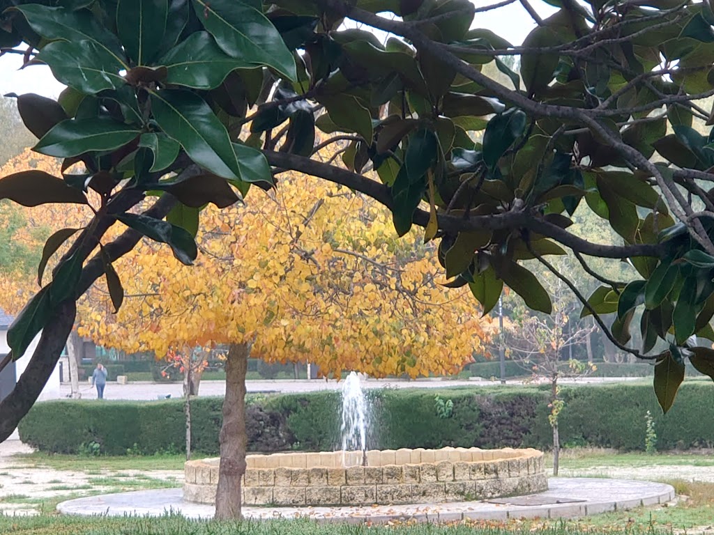 Carrocerias Mostoles