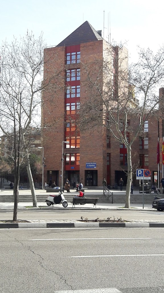 Escuela Municipal de Ajedrez de Los Realejos