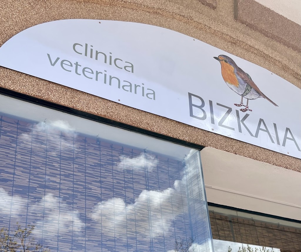 Clinica veterinaria Bizkaia Albaitaritza klinika