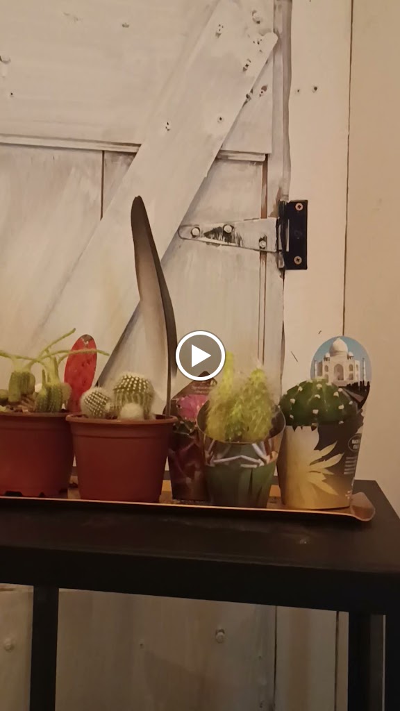 Cortau cafe — Videos