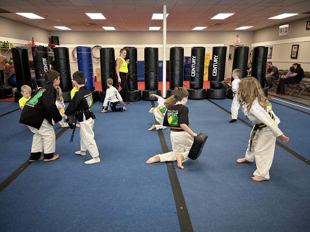  McCoy's Action Karate