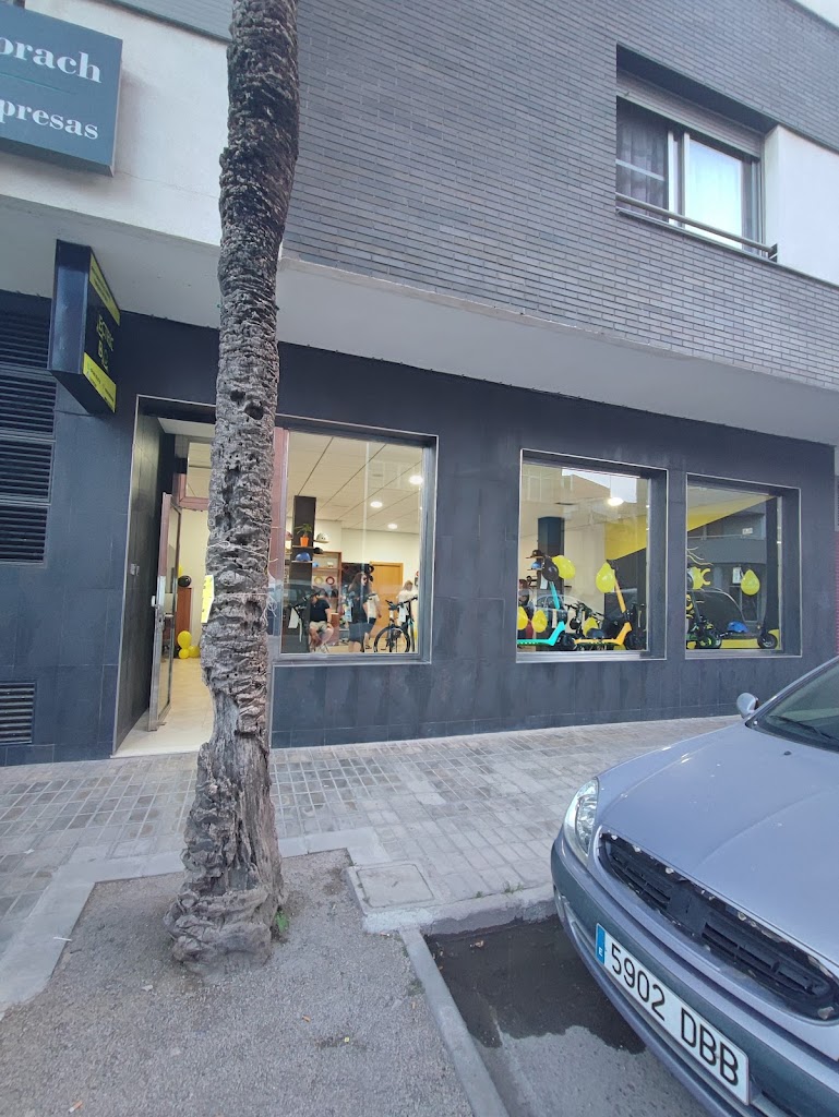 Electric Blo, Tienda y Taller de reparacion de patinetes electricos, Bicis electricas y vehiculos de movilidad reducida