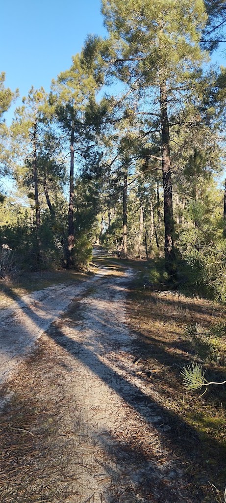 Ruta del Manzano Sotocivieco