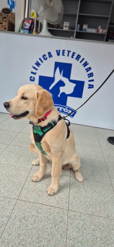 Clinica Veterinaria Ponton