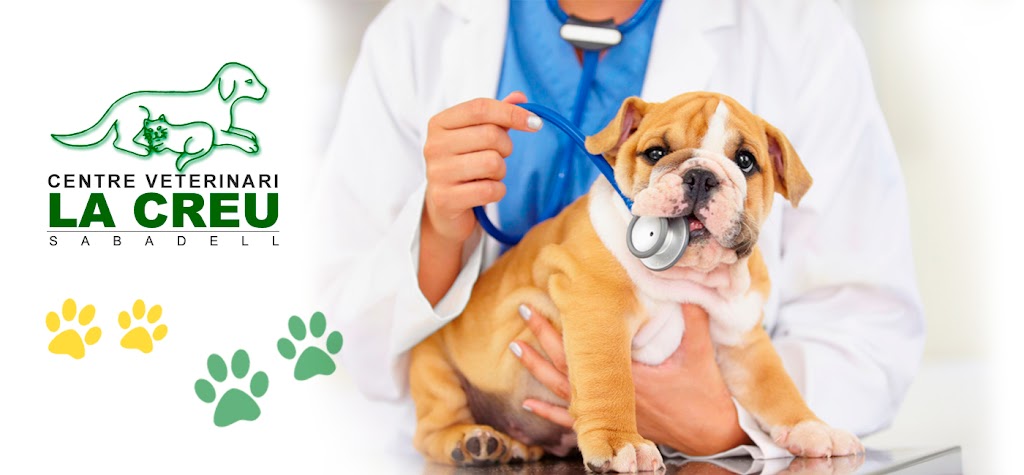 Centre Veterinari La Creu — Del propietario