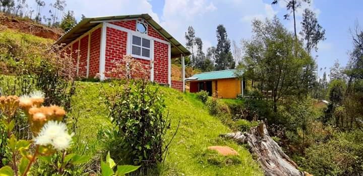 Kishore Kotagiri Cottages