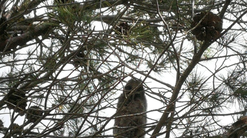 Centro Privado De Formacion Profesional E F A Boalares