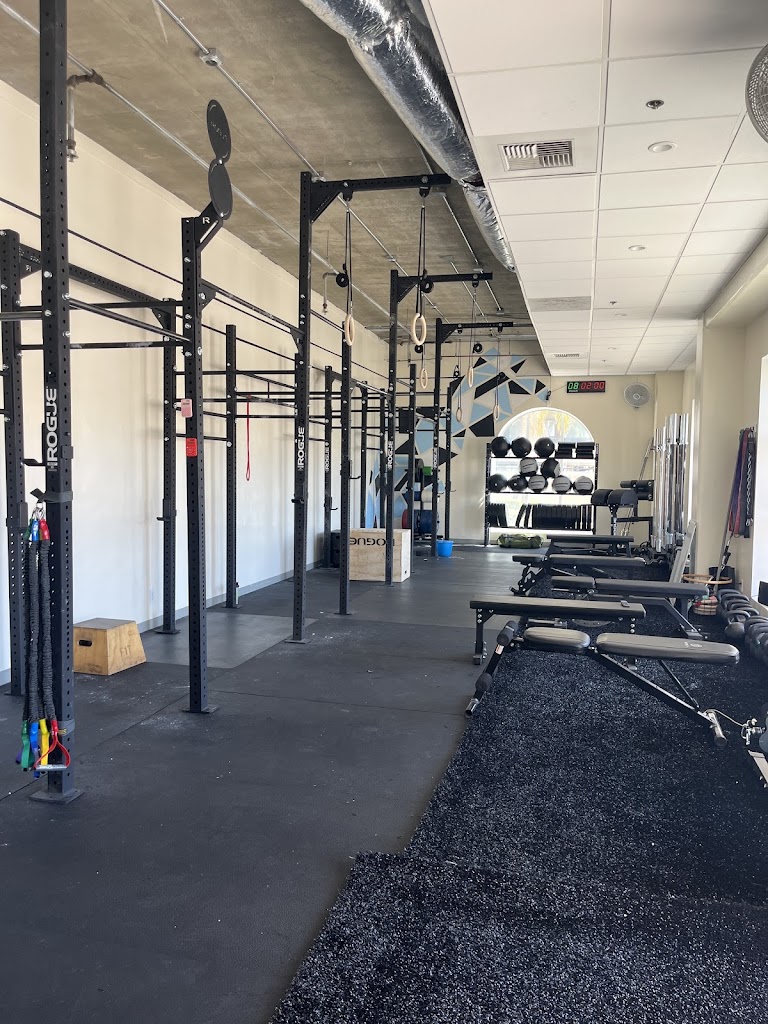  Motion Training Collective