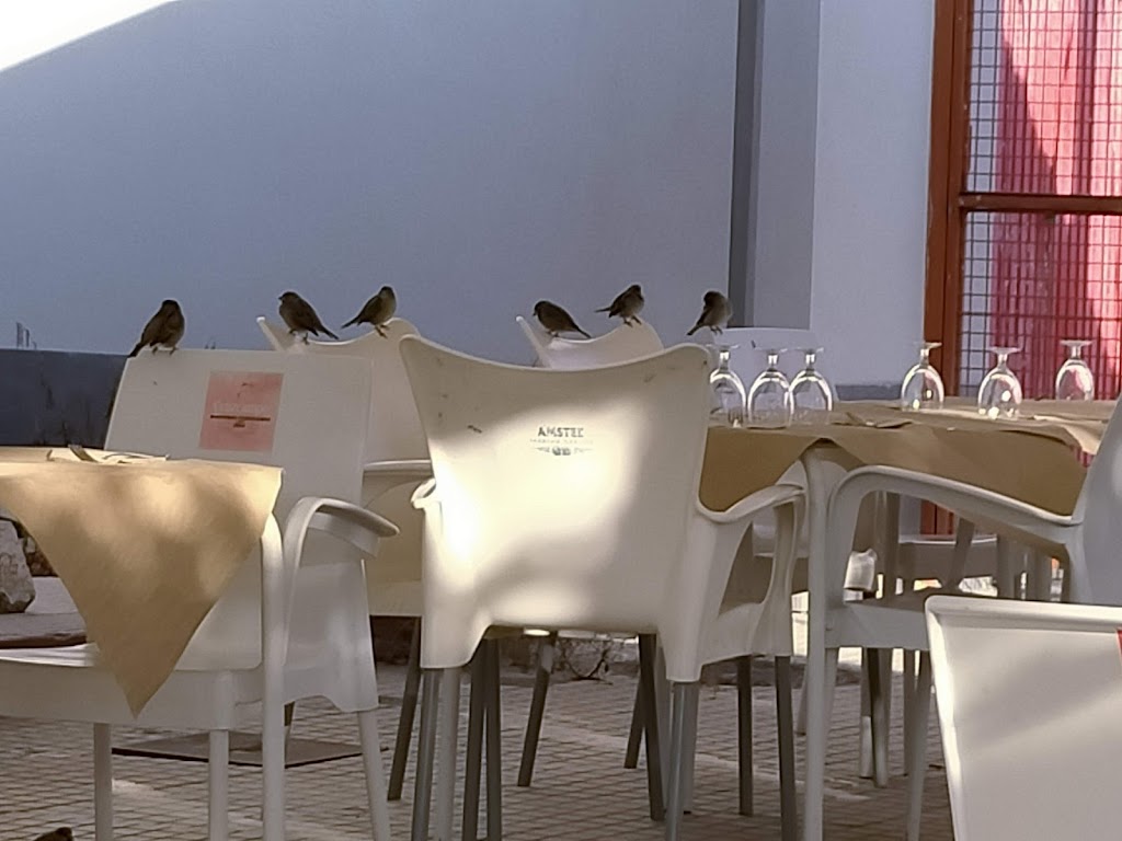 Bar polideportivo Carlet