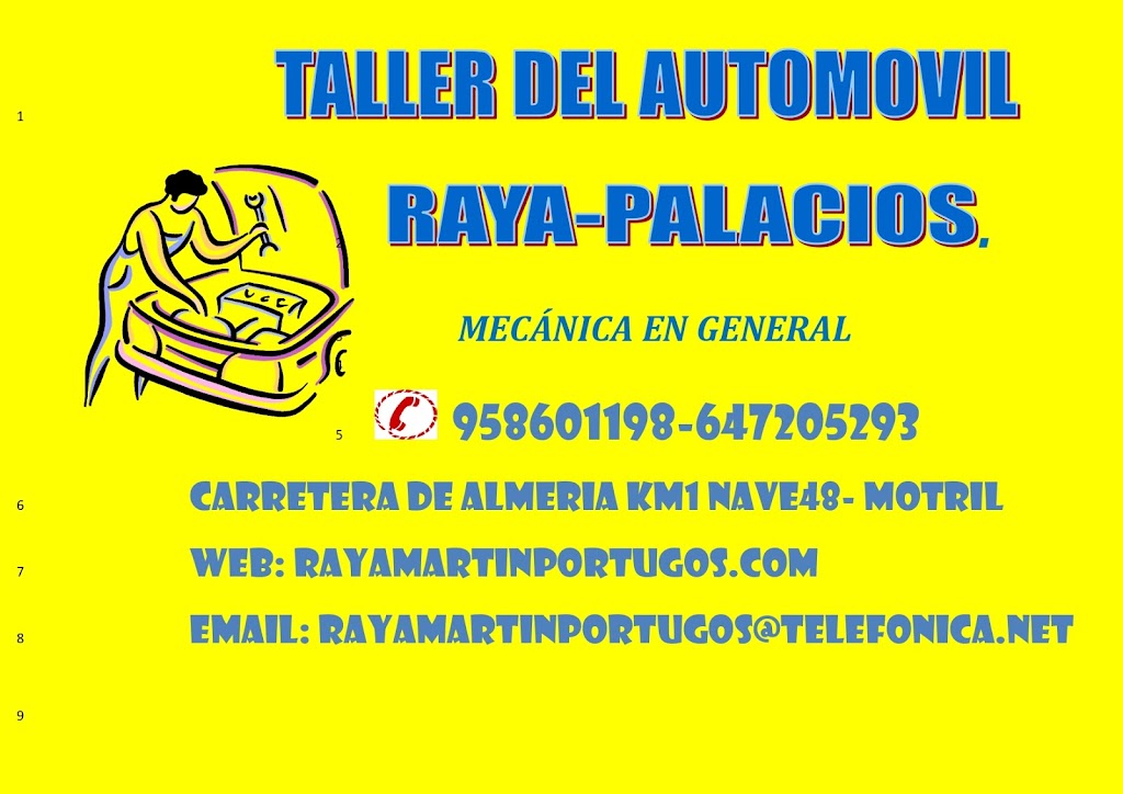 TALLER MARTIN CARS ( RAYA PALACIOS Y OTROS S.L.) — Del propietario