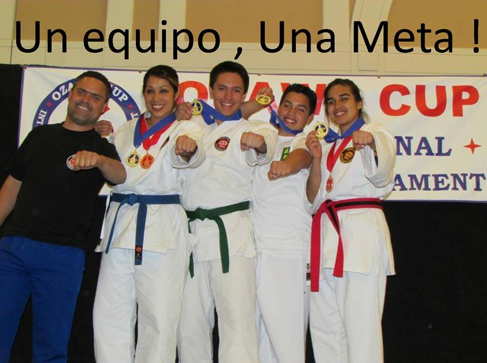  Budo Zone: Physical Fitness, Martial Arts School, Self Defense School, Karate Do School