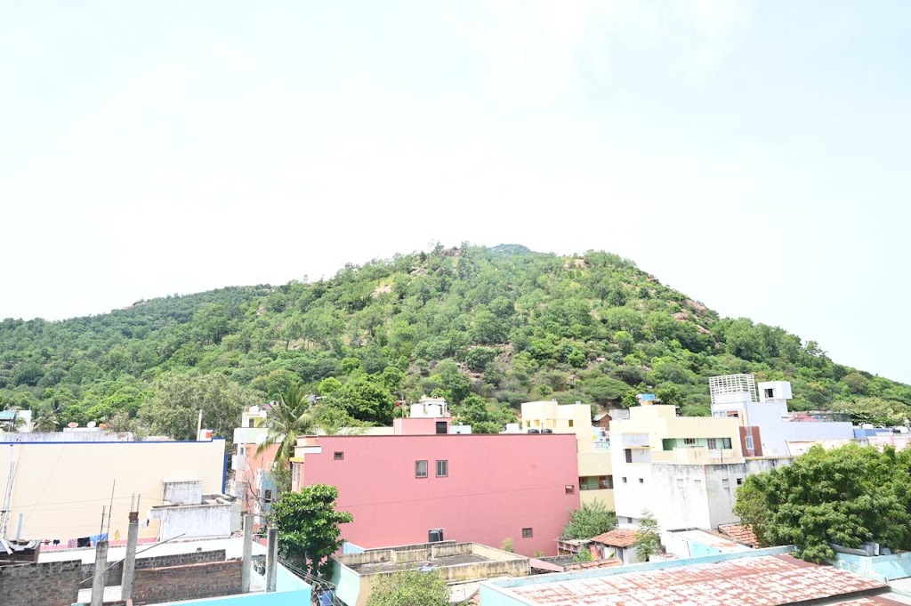 Ramani Residency