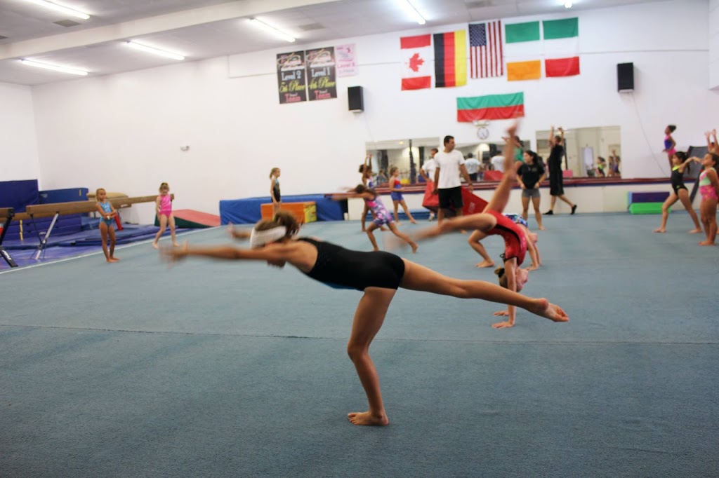  Sarasota Gymnastics Academy