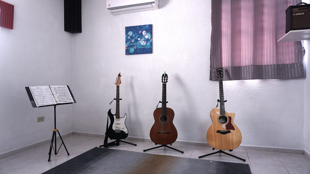 Vinyl Academia de Musica