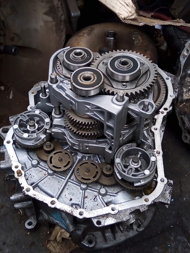 Servicios Especializados luna