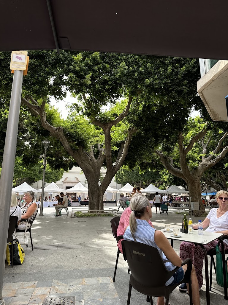 Cafeteria-Cerveceria Terratremo — Ambiente