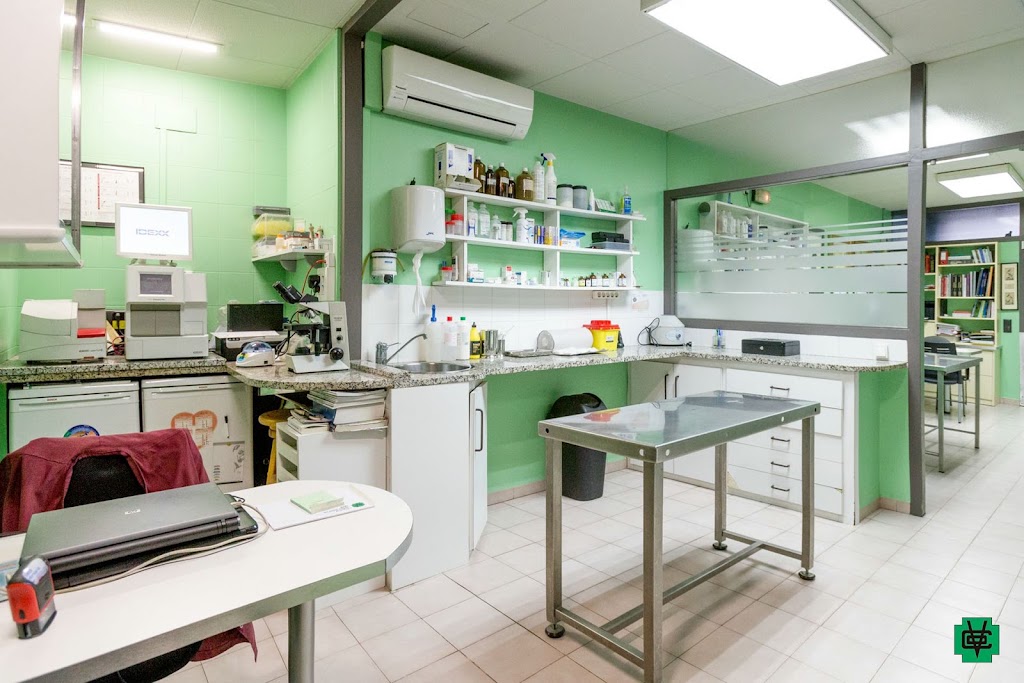 Clinica Veterinaria Olot — Del propietario