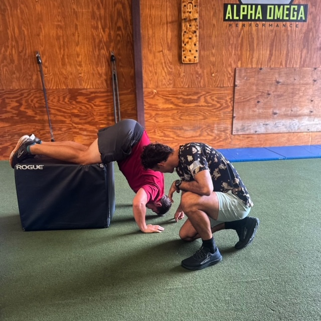  Alpha Omega Sports Performance & Alpha Nutrition Shop