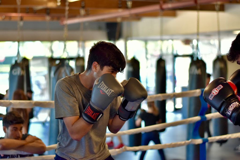  THE GYM BOXING AND FITNESS