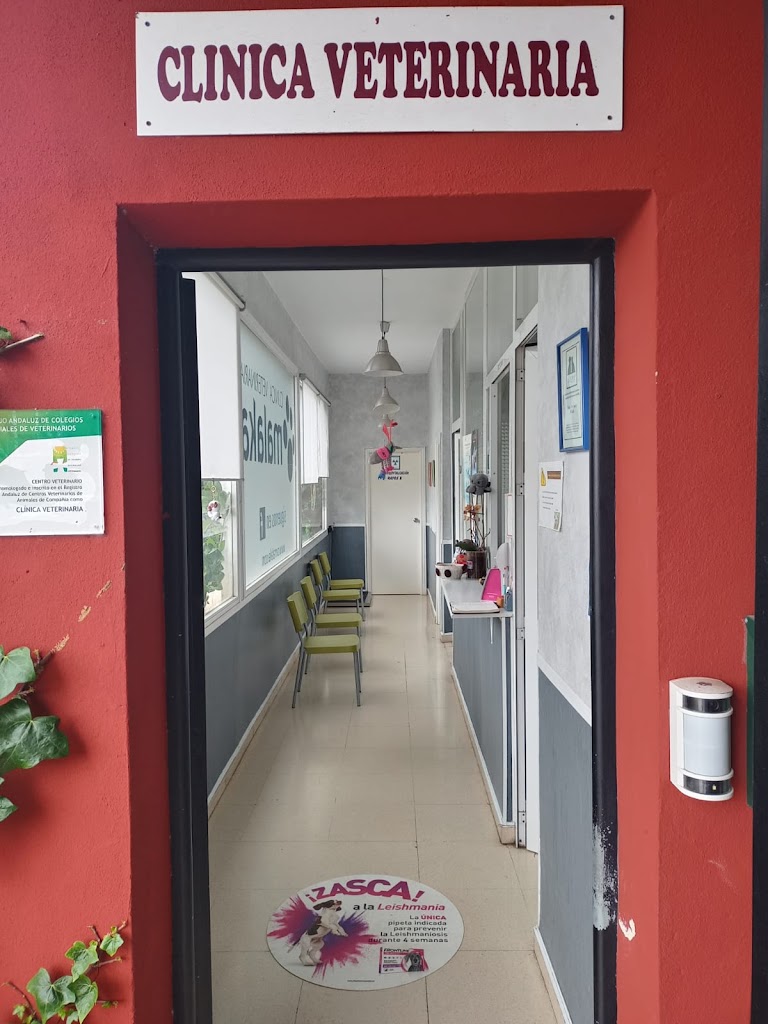 Clinica Veterinaria Malaka — Del propietario