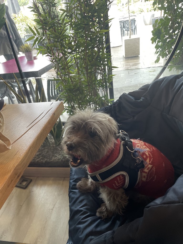 Restaurante La Canalla — Mas recientes