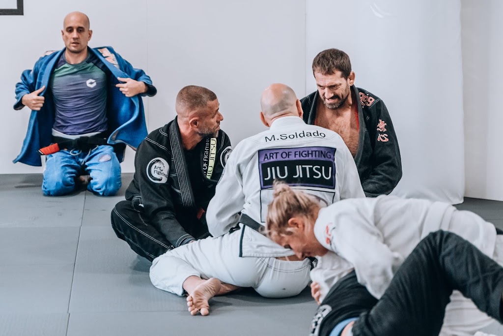 Art of Fighting — Del propietario