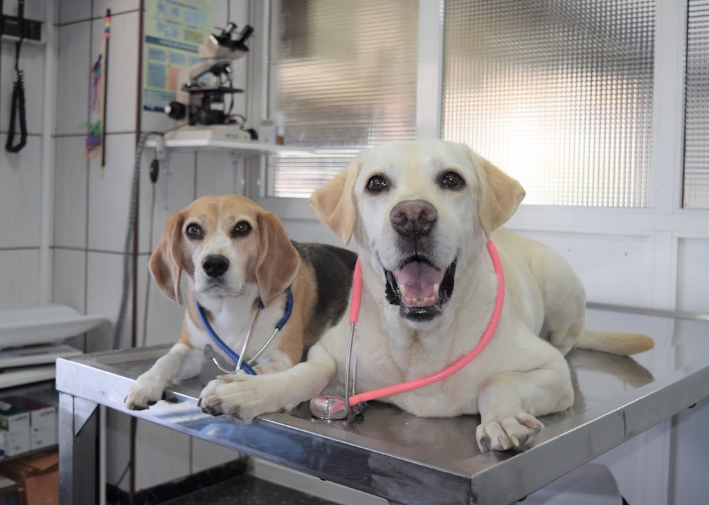 Clinica Veterinaria Escaleritas