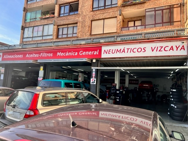 NEUMATICOS VIZCAYA ALGORTA — Del propietario