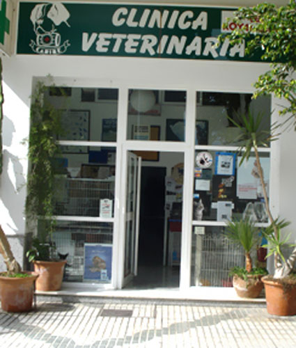 Clinica Veterinaria Caribe — Del propietario