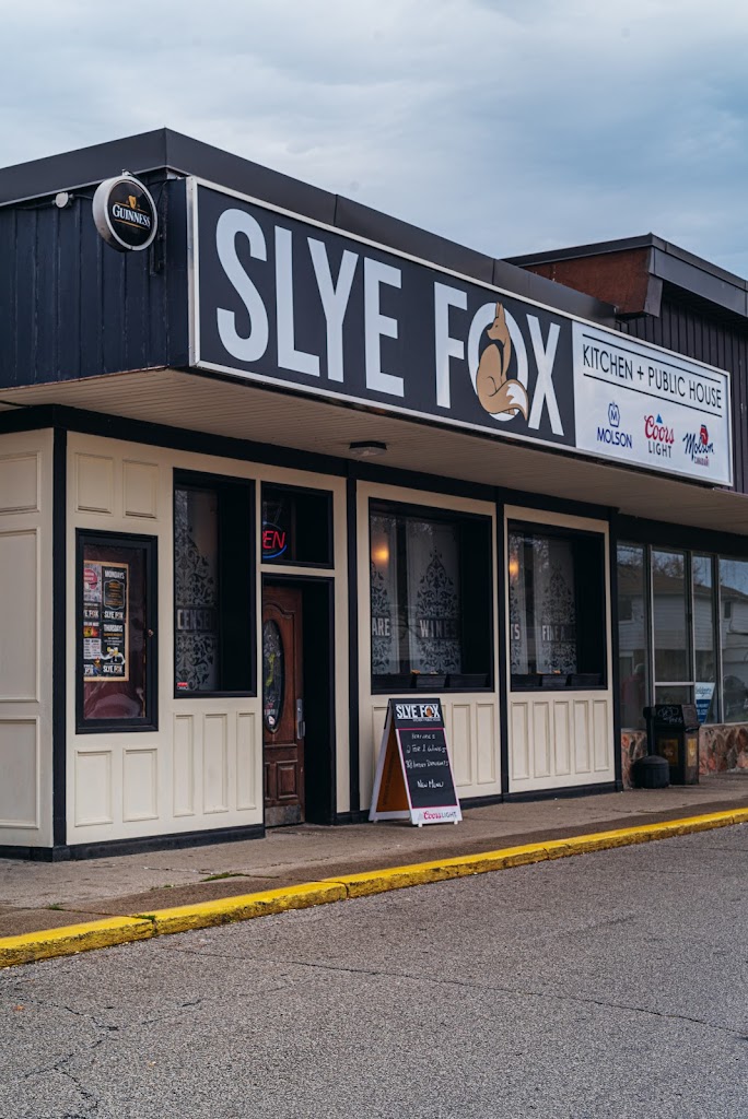 The Slye Fox