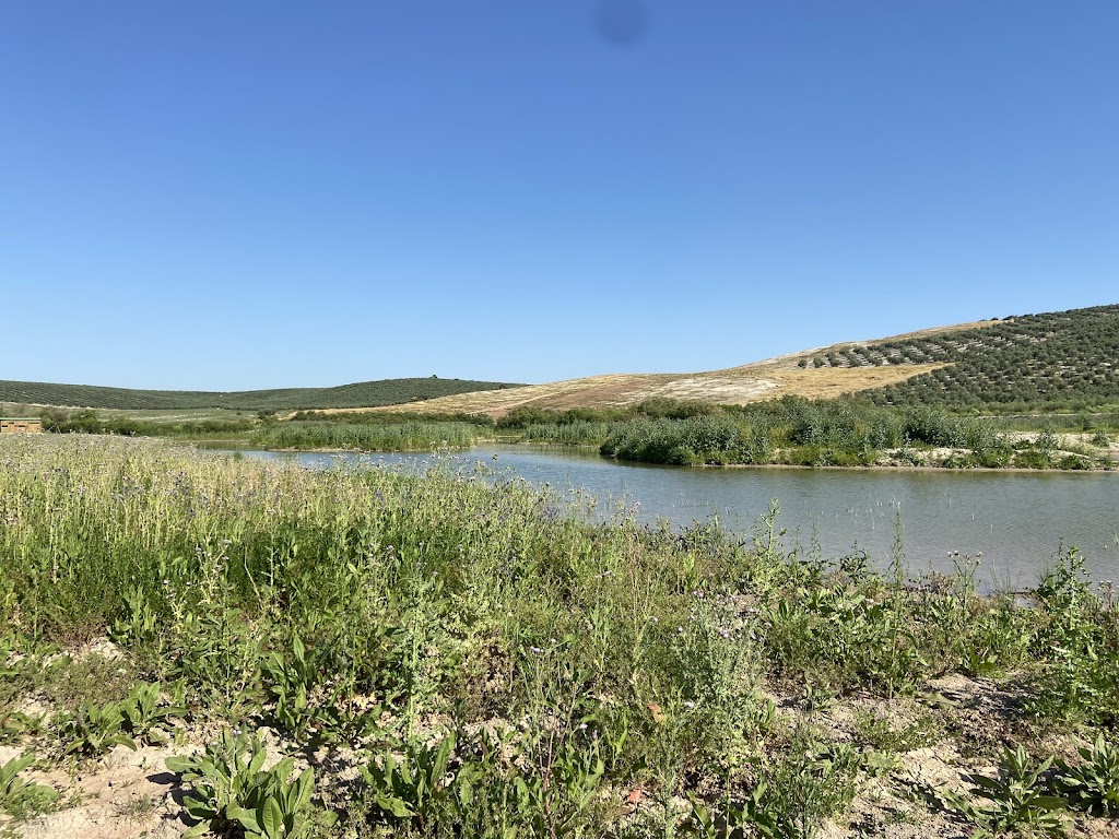 Laguna de Jarata