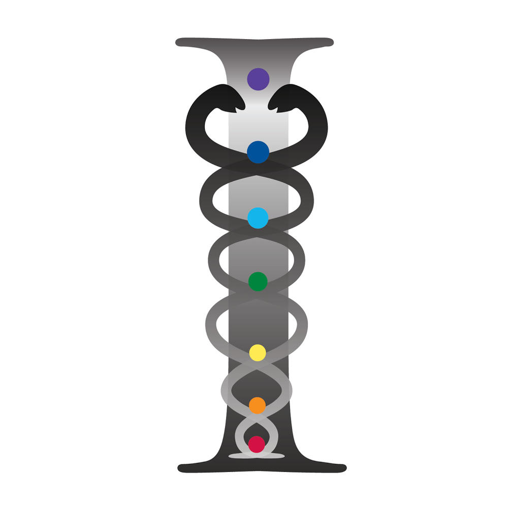  Infused Fitness and Dance